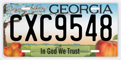 GA license plate CXC9548