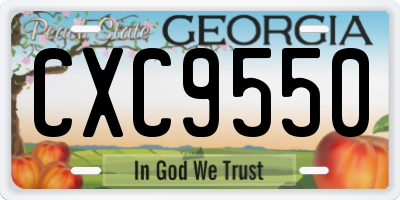 GA license plate CXC9550