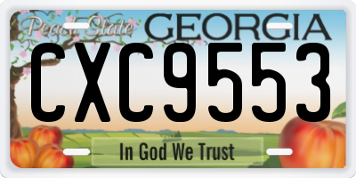 GA license plate CXC9553