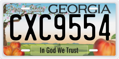 GA license plate CXC9554