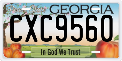 GA license plate CXC9560