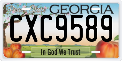 GA license plate CXC9589