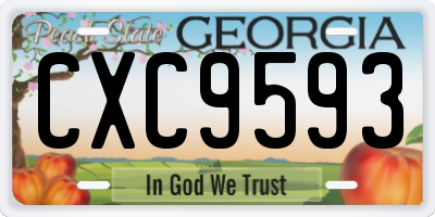 GA license plate CXC9593