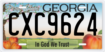 GA license plate CXC9624