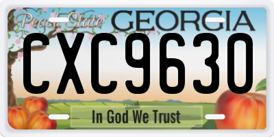 GA license plate CXC9630