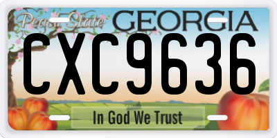 GA license plate CXC9636