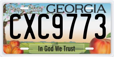 GA license plate CXC9773