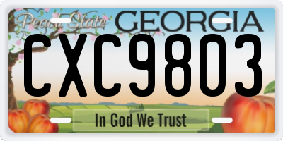 GA license plate CXC9803