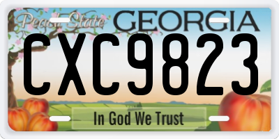 GA license plate CXC9823