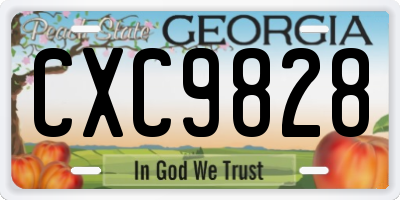 GA license plate CXC9828
