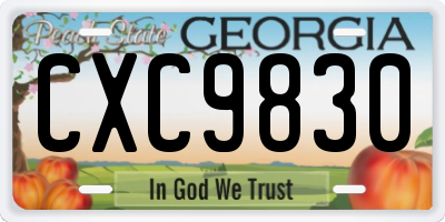 GA license plate CXC9830