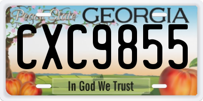 GA license plate CXC9855