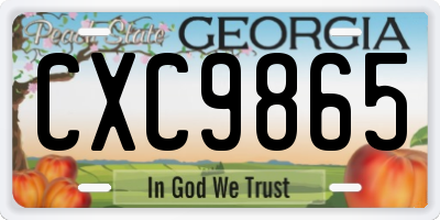 GA license plate CXC9865