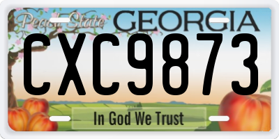 GA license plate CXC9873