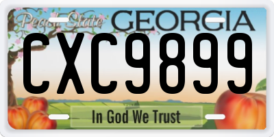 GA license plate CXC9899