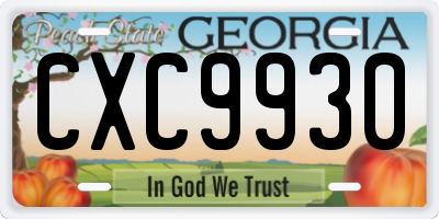 GA license plate CXC9930