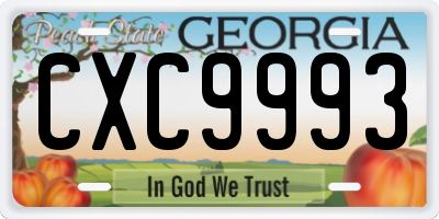 GA license plate CXC9993