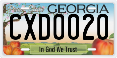 GA license plate CXD0020