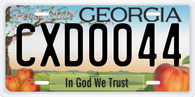GA license plate CXD0044