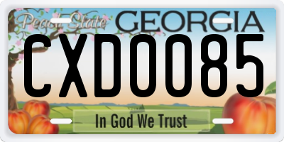 GA license plate CXD0085