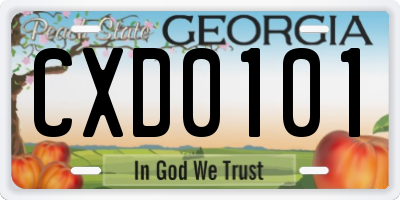 GA license plate CXD0101