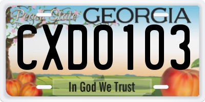 GA license plate CXD0103