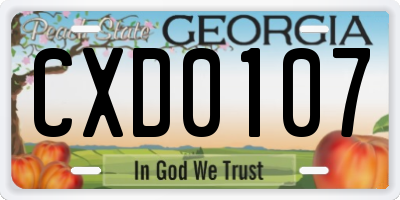 GA license plate CXD0107