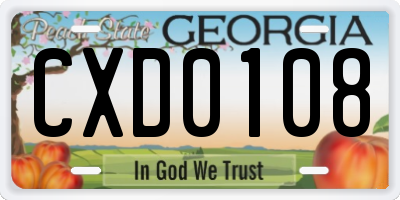 GA license plate CXD0108