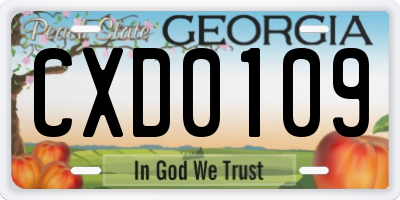GA license plate CXD0109