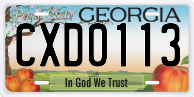 GA license plate CXD0113