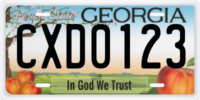 GA license plate CXD0123