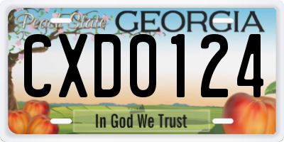 GA license plate CXD0124