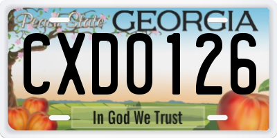 GA license plate CXD0126