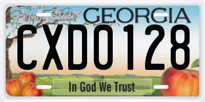 GA license plate CXD0128