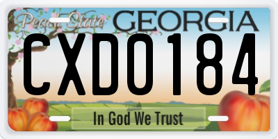 GA license plate CXD0184