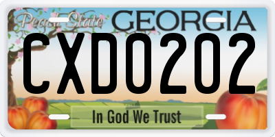 GA license plate CXD0202