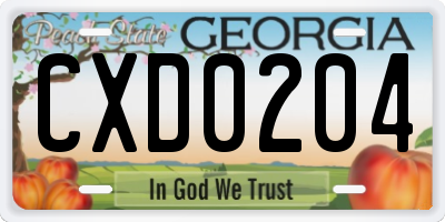 GA license plate CXD0204