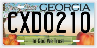 GA license plate CXD0210