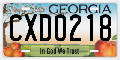 GA license plate CXD0218