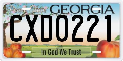 GA license plate CXD0221
