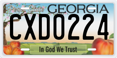 GA license plate CXD0224