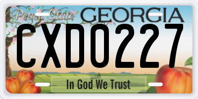 GA license plate CXD0227