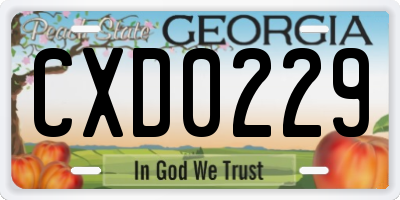 GA license plate CXD0229