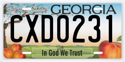 GA license plate CXD0231
