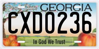 GA license plate CXD0236