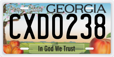 GA license plate CXD0238