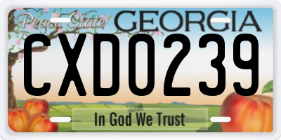 GA license plate CXD0239