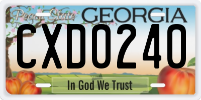 GA license plate CXD0240