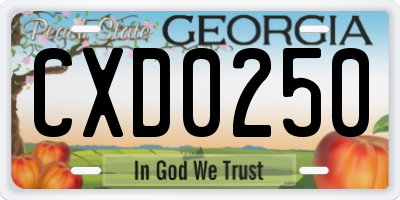 GA license plate CXD0250