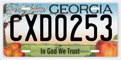 GA license plate CXD0253